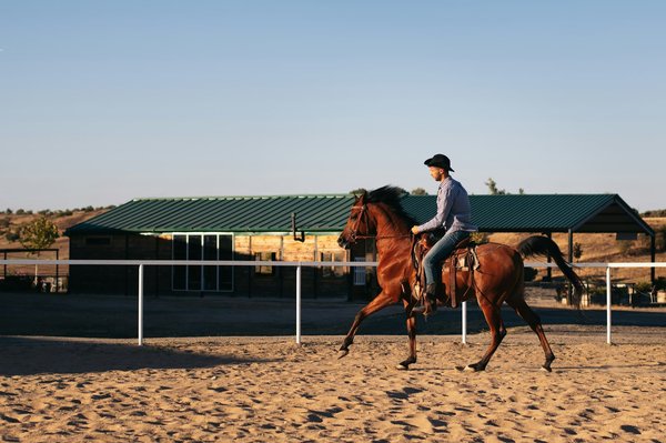 What's the Best Approach to Mental Skills Training for Competitive Equestrians?